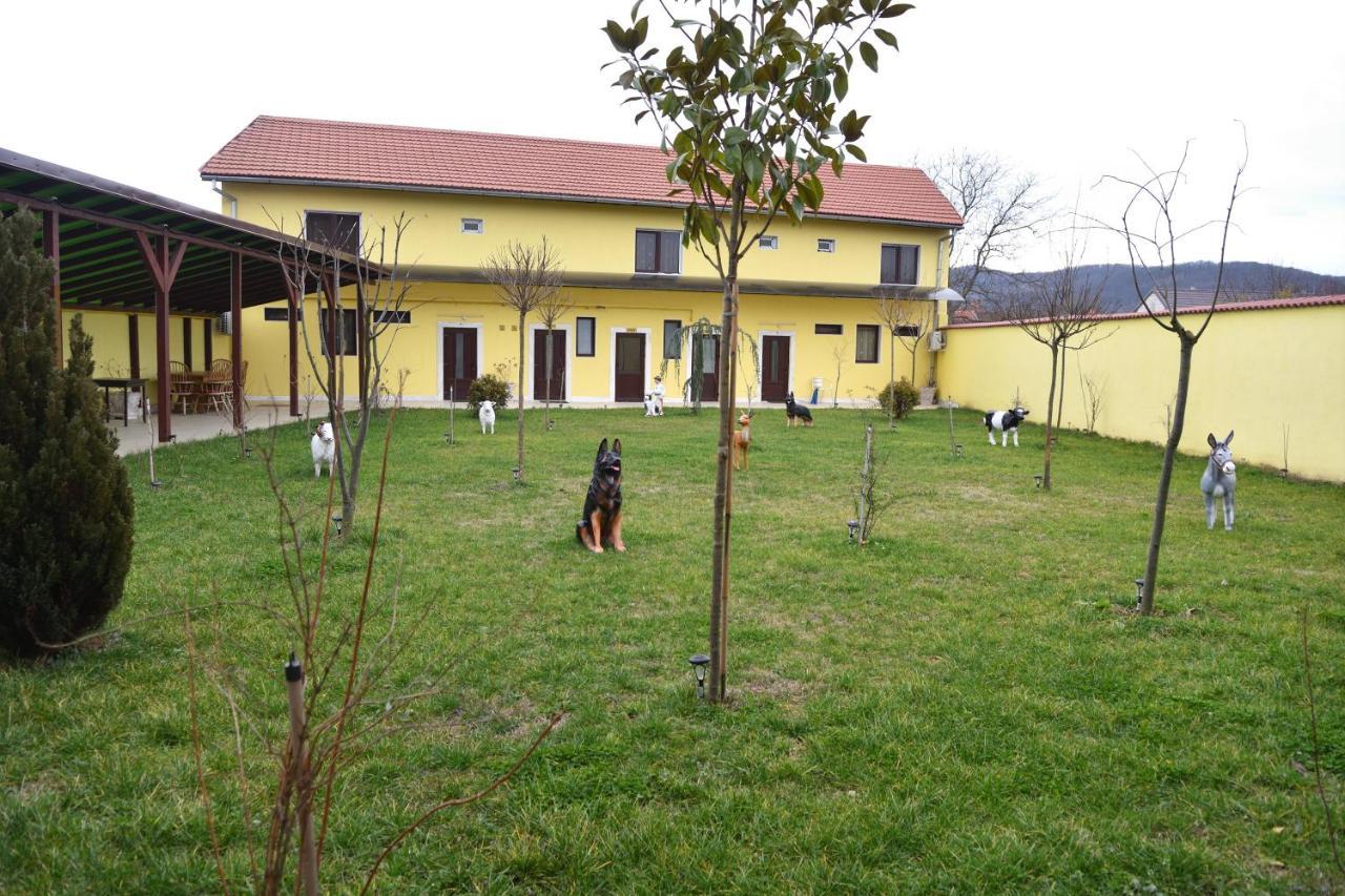 Casa Simescu II Albergue Caransebeş Exterior foto